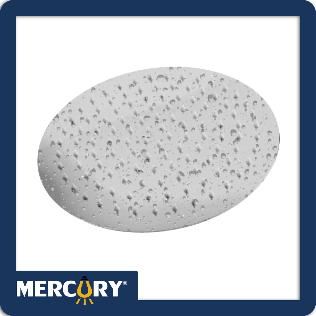 Ducha agua fria 10 redonda acero inoxidable de lujo (cromada)