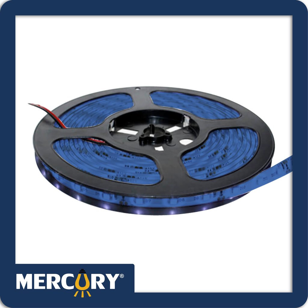Cinta led 12v 5050 ip65 azul rollo*5m