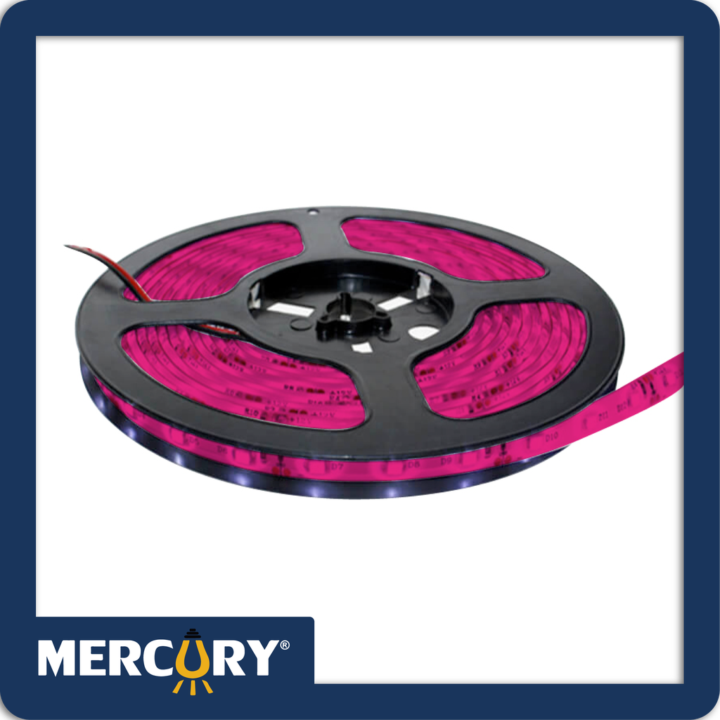 Cinta led 12v 5050 ip65 fucsia rollo*5m