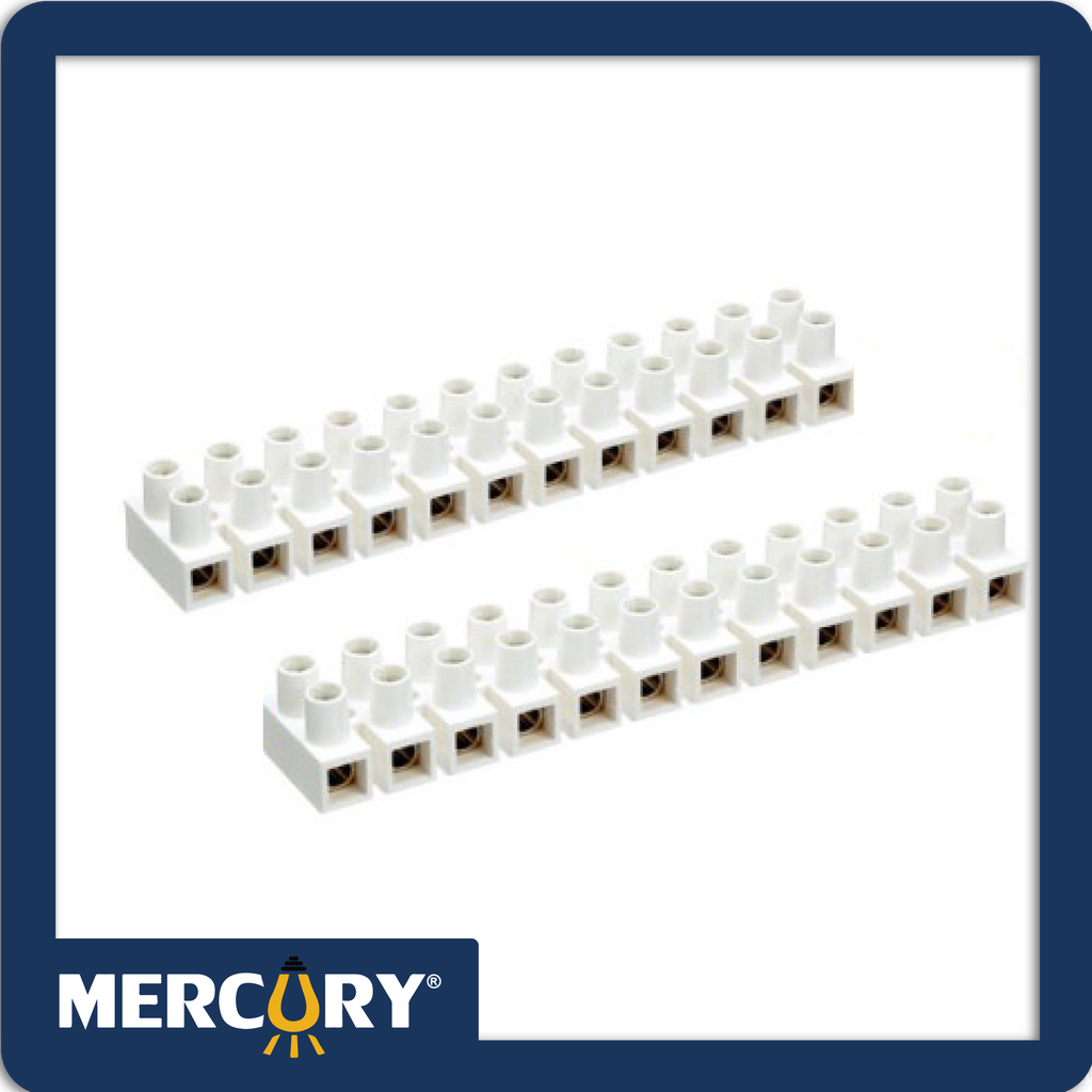 Regleta plastica 12-lineas 20a
