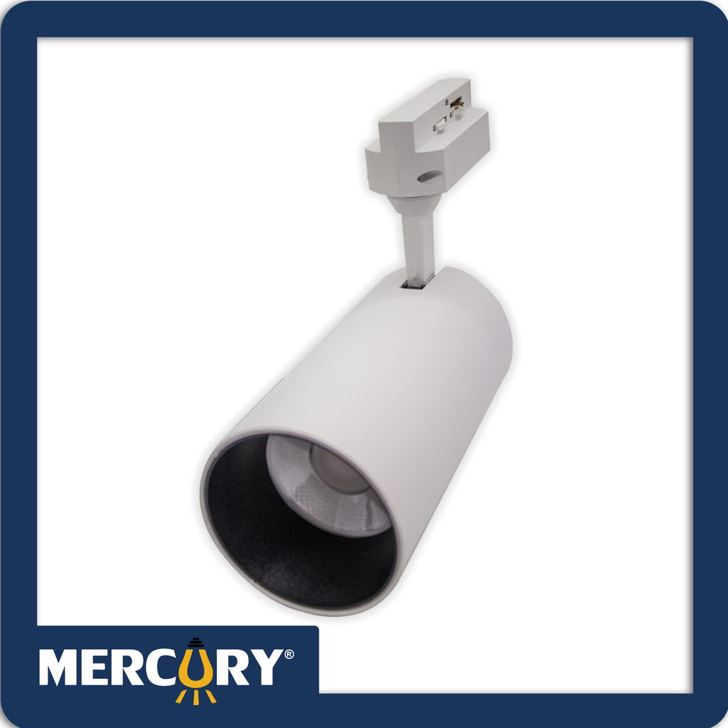 [IDL03] Spot led liso blanco 30w 6500k mercury