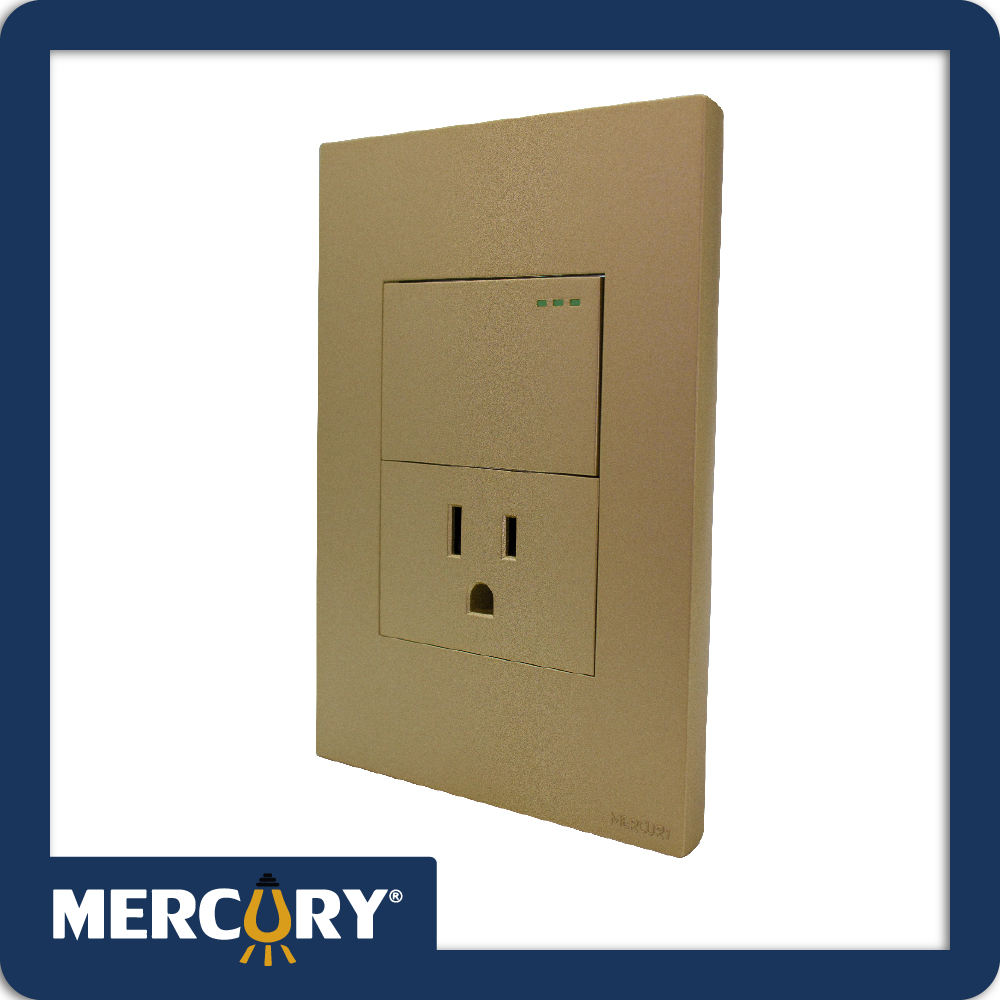 Toma + interruptor golden luxury