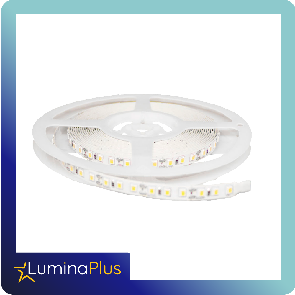 cinta led luminaplus 12v 5050 ip20 blanca rollo*5m