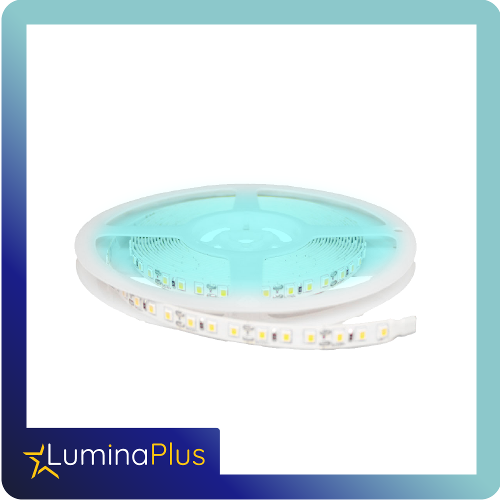 cinta led luminaplus 12v 5050 ip20 azul rollo*5m