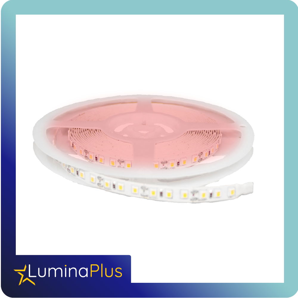 cinta led luminaplus 12v 5050 ip20 roja rollo*5m